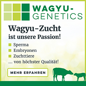 Werbung_Wagyu_Genetics