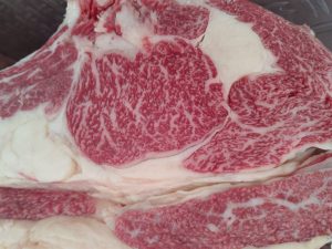 Fleisch YASAIKU HS1619